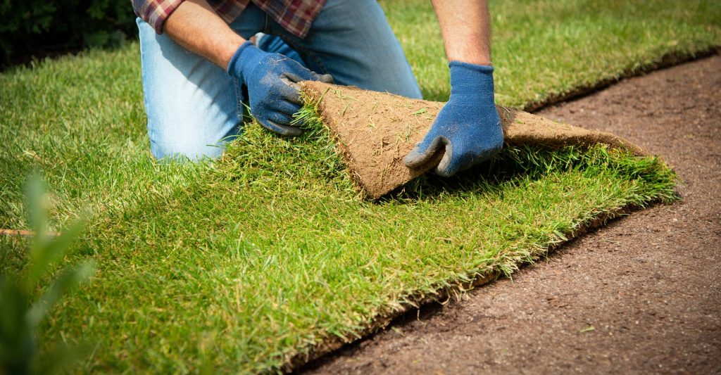 Sod Installation – Gulf Coast Turf